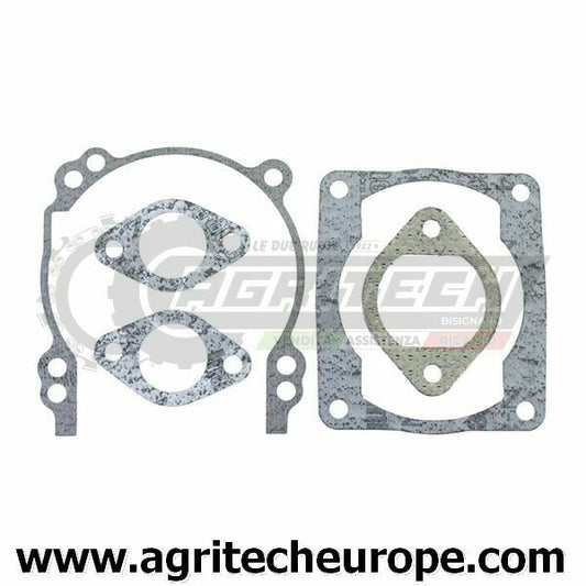 SERIE GUARNIZIONI BRIGGS & STRATTON