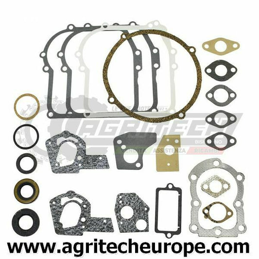 495602 397144 SERIE GUARNIZIONI BRIGGS & STRATTON Vecchi 3 3,5 HP orizzontali