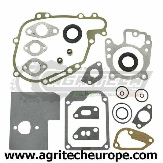 492872 SERIE GUARNIZIONI BRIGGS & STRATTON Vanguard 5 HP verticali 104700
