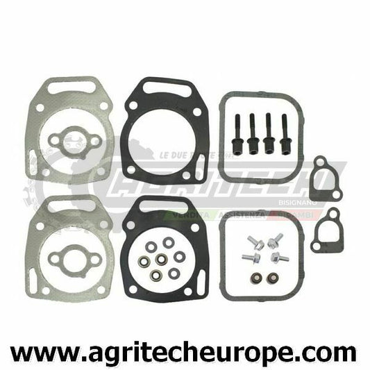 SERIE GUARNIZIONI BRIGGS & STRATTON Kit guarnizioni EX 808391