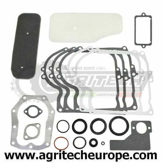 393411 SERIE GUARNIZIONI BRIGGS & STRATTON VECCHI 10 11 HP VERT 220700 252700