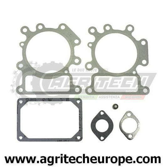 SERIE GUARNIZIONI BRIGGS & STRATTON EX 690190 320318