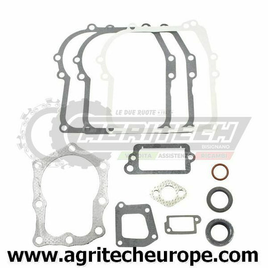 391662 SERIE GUARNIZIONI BRIGGS & STRATTON 4 HP VERTICALI 110900 113900 110700