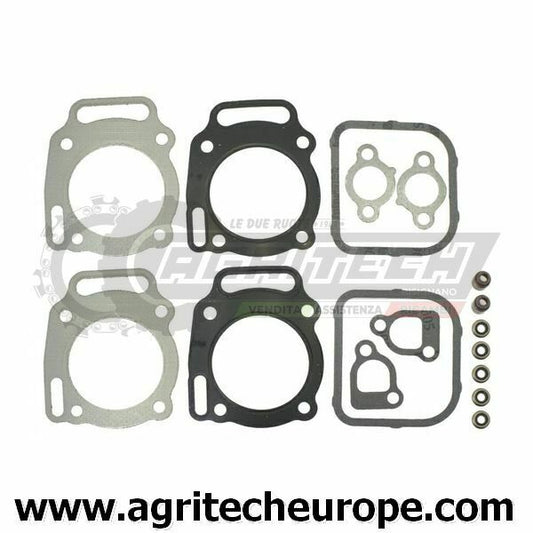 SERIE GUARNIZIONI BRIGGS & STRATTON testa V.12 16