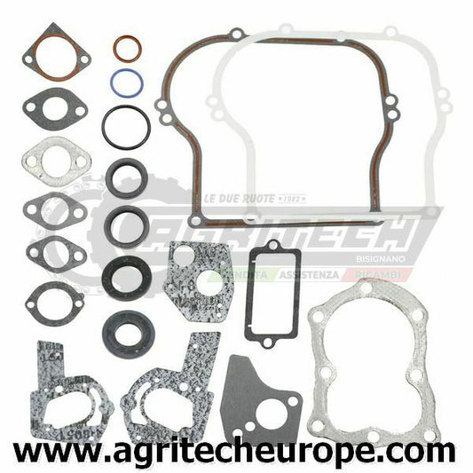 495603 397145 SERIE GUARNIZIONI BRIGGS & STRATTON VECCHI 4 5 HP 100200 130200