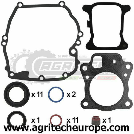 597320 SR GUARNIZIONI BRIGGS & STRATTON MTR VERT 800 8.5 8.75 OHV 115 123 124