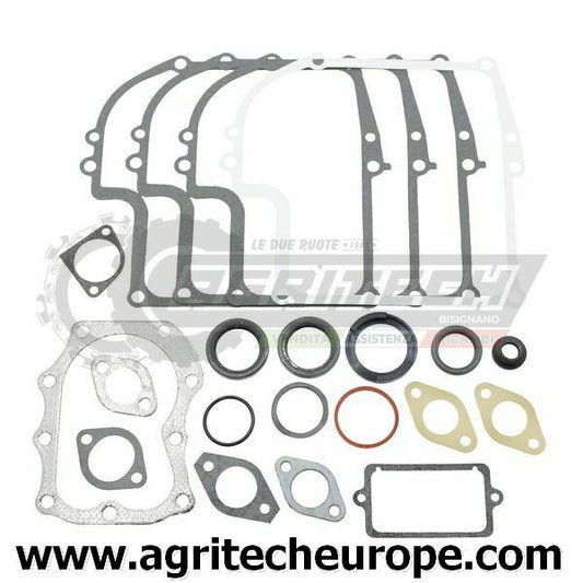299577 SERIE GUARNIZIONI BRIGGS & STRATTON VECCHI 7 8 HP verticali e orizzontali
