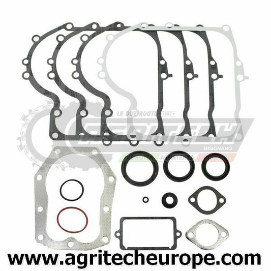 494241 490525 SERIE GUARNIZIONI BRIGGS & STRATTON 12/13 HP VERTICALI VALVOLE LAT