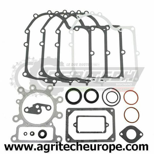 691580 SR GUARNIZIONI BRIGGS & STRATTON OHV mono verticale I C 287 28N 28P 28Q