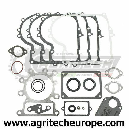 495993 SR GUARNIZIONI BRIGGS & STRATTON OHV mono verticale I C 287 28N 28P 28Q