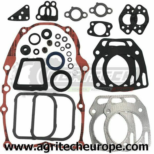 841188 SERIE GUARNIZIONI BRIGGS & STRATTON Bicilindrico Vanguard 305 350 351 356