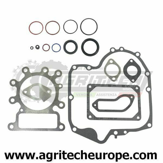 796181 697151 Serie guarnizioni OHV BRIGGS & STRATTON  12,5 13 13,5 800 900 MON