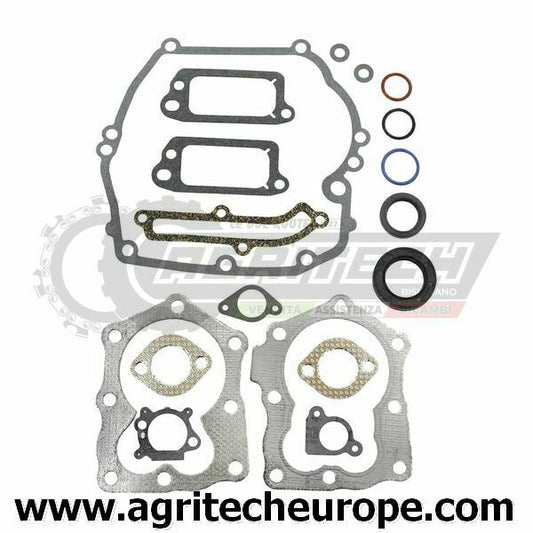 497316 794307 590508 SR GUARNIZIONI BRIGGS & STRATTON Quantum Power 12H800 XT
