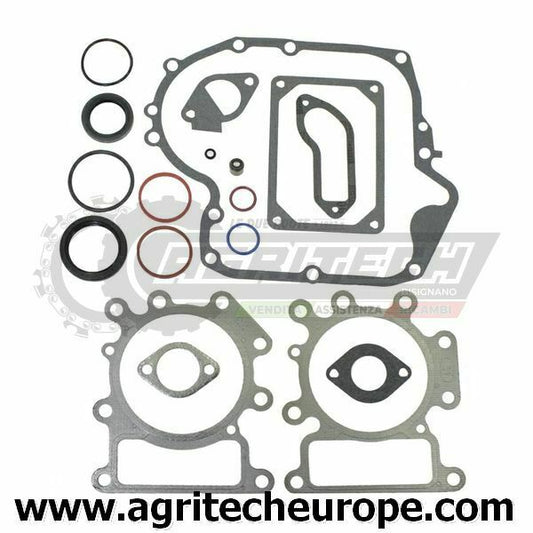 796187 794150 SERIE GUARNIZIONI OHV BRIGGS & STRATTON 16 19,5 HP AVS MONOCILINDR