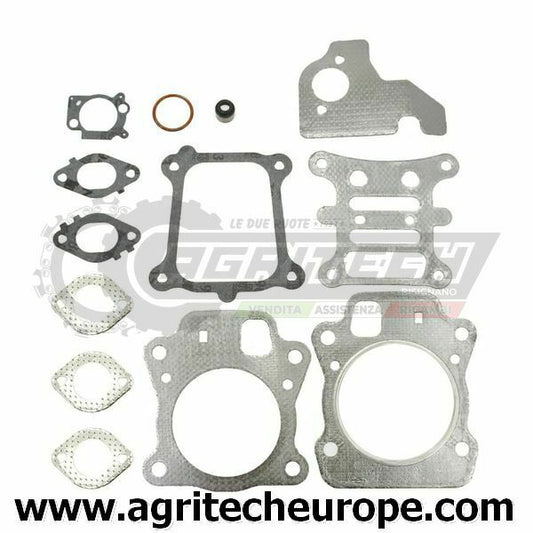 SERIE GUARNIZIONI BRIGGS & STRATTON Kit guarnizione valvole 12S EX 799496