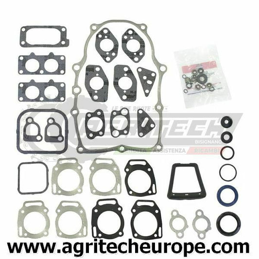 808390 807640 847319 SERIE GUARNIZIONI BRIGGS & STRATTON  bicilindrici 14 16 HP