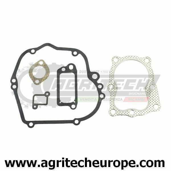 490563 SERIE GUARNIZIONI BRIGGS & STRATTON Vecchi Quantum 35 100700