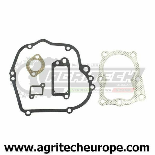 490563 SERIE GUARNIZIONI BRIGGS & STRATTON Vecchi Quantum 35 100700