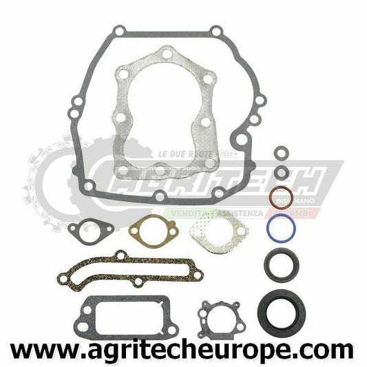 496117 493263 SR GUARNIZIONI BRIGGS & STRATTON Quantum Power 121700 122700 12470