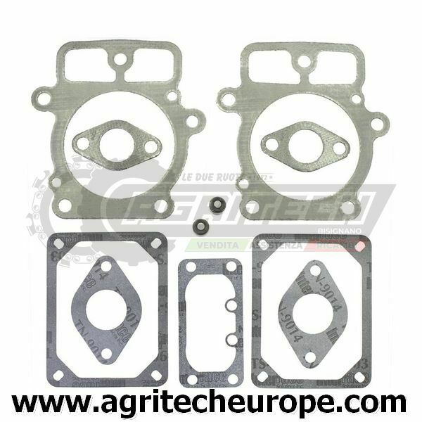 SERIE GUARNIZIONI BRIGGS & STRATTON Testa EX 499890