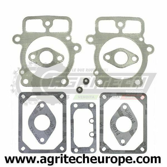 SERIE GUARNIZIONI BRIGGS & STRATTON Testa EX 499890