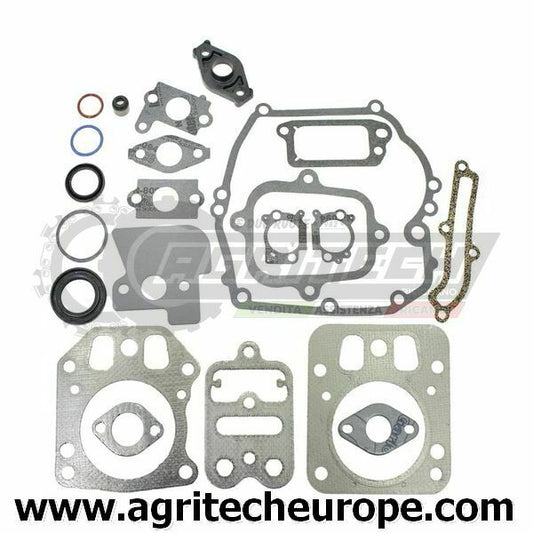 795442 793284 SR GUARNIZIONI BRIGGS & STRATTON  Intek verticali 6,5 HP