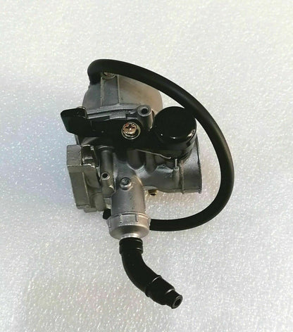 CARBURATORE ATV DIRTBIKE PITBIKE GOKART BUGGY QUOD QUAD 50 70 90 110 125  Ø19