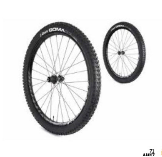 COPPIA RUOTE BICICLETTA VITTORIA MOUNTAIN BIKE REAXCION 29" gara WSR