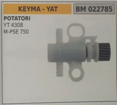 KIT POMPA OLIO COMPLETA MOTOSEGA POTATORE MULTITOOL KEYMA YAT YT 4308 M-PSE 750