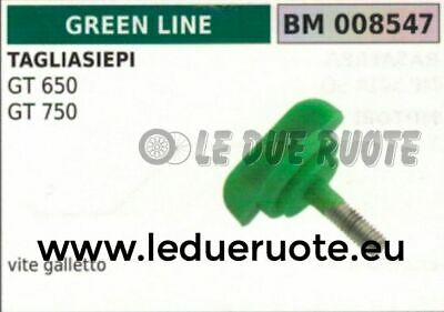 VITE GALLETTO FILTRO ARIA TAGLIASIEPI TOSASIEP GREENLINE GREENCUT GT 600 750