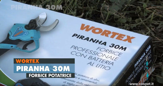 FORBICE ELETTRICA PROFESSIONALE WORTEX PIRANHA 30M 2 BATTERIE LITIO 2AH 27mm