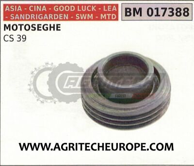 VITE SENZA FINE CHIOCCIOLA POMPA OLIO MOTOSEGA CS39