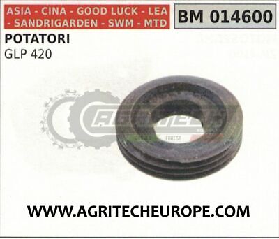 VITE SENZA FINE CHIOCCIOLA POMPA OLIO POTATORE ASIA CINA SANDRIGARDEN GLP 420