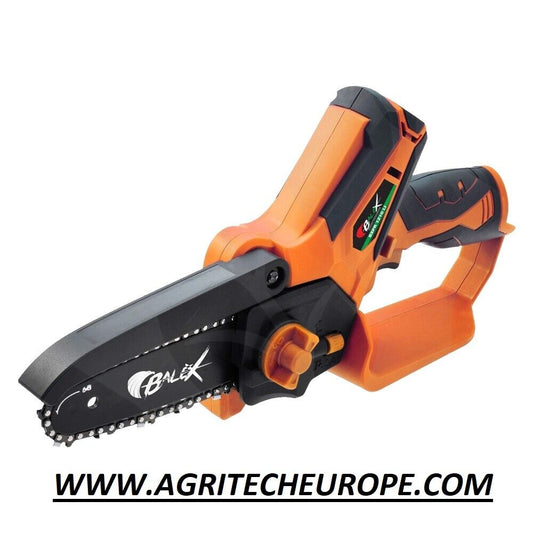 POTATORE MINISEGA A BATTERIA SAW 60 WORTEX 21V + 2 BATTERIE 2Ah + CARICABATTERIE