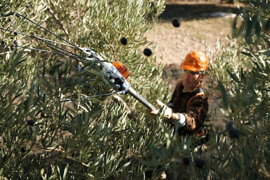 Abbacchiatore scuotitore a batteria Professionale Originale Stihl SPA 130
