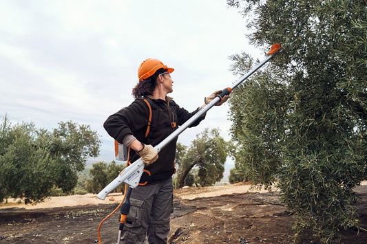 Abbacchiatore scuotitore a batteria Professionale Originale Stihl SPA 140