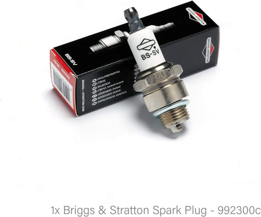 Kit Tagliando Service Kit Originale Briggs & Stratton 450 Series, 550 Series, Classic, Sprint