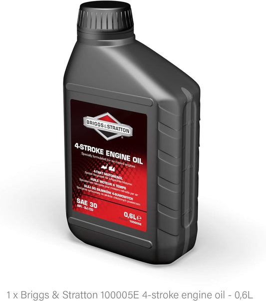 Kit Tagliando Service Kit Originale Briggs & Stratton 450 Series, 550 Series, Classic, Sprint