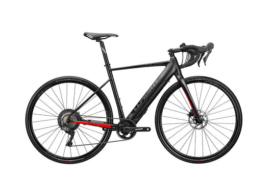 Bici Elettrica a pedalata assistita Whistle Flow ADV E2.0
