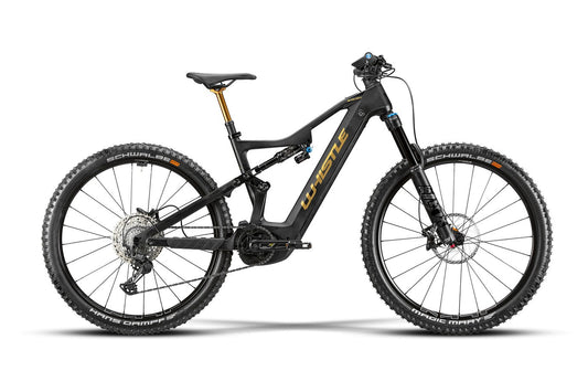 Bici elettrica a pedalata assistita Whistle B-Rush Oryon