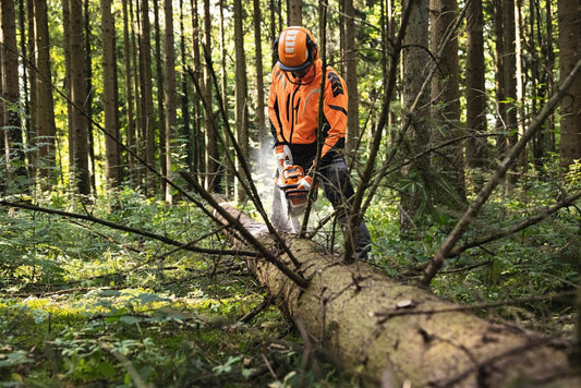 Motosega a batteria Professionale Stihl MS300 con 2 batterie